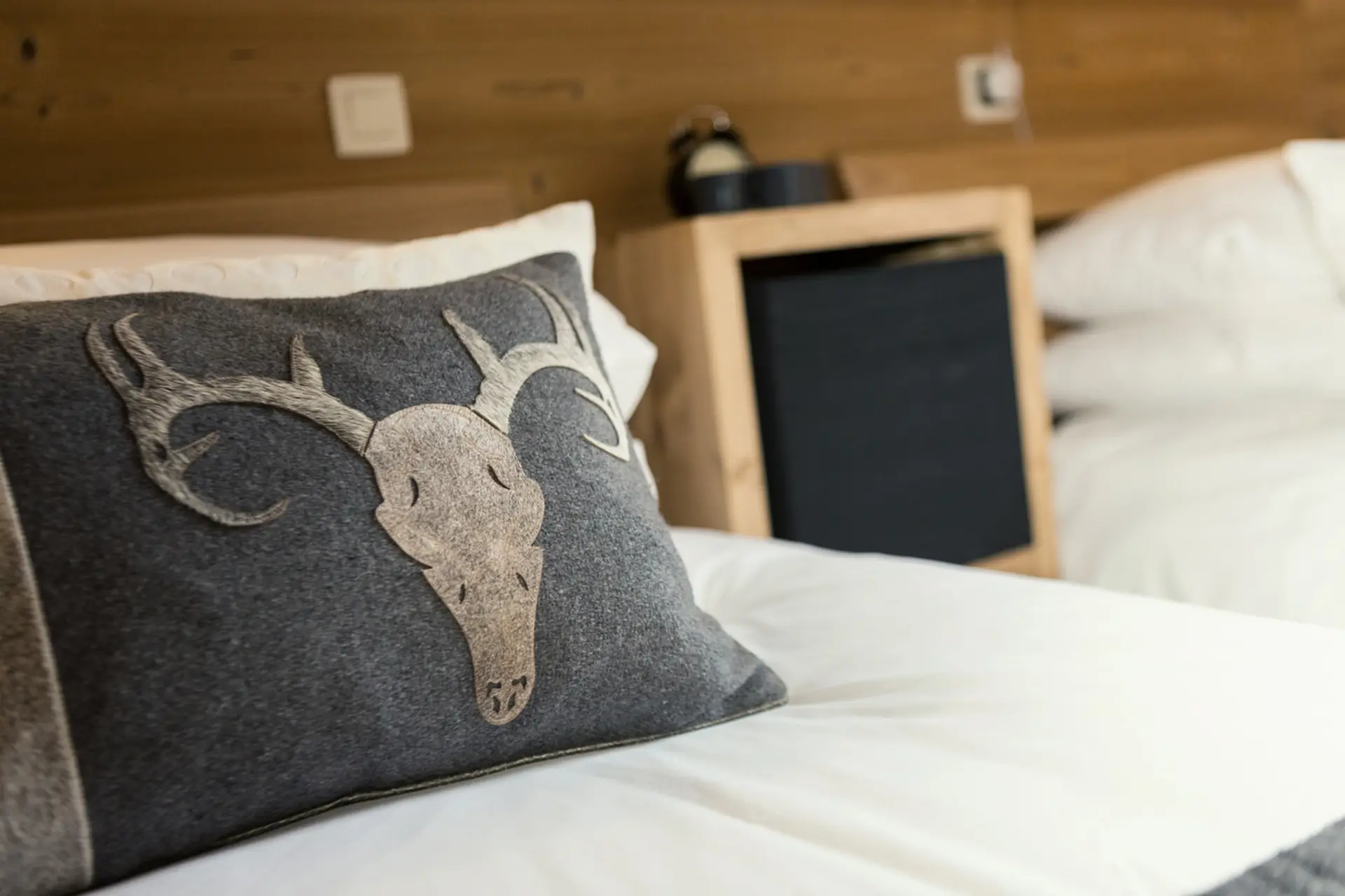 Apartment Waterside Morzine 15